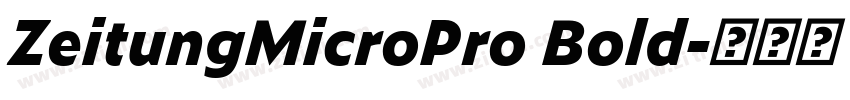 ZeitungMicroPro Bold字体转换